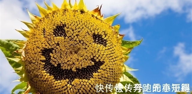 22个冷知识：只有少数人知晓，但知道了或许也无处使用