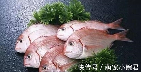 闽南最好的六种海鱼,午笋排第一,只要用豆豉,便能炣出美味