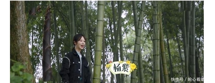 杨紫 向往的生活5:奥特曼谜团揭开,杨紫待蘑菇屋三天不肯走被调侃