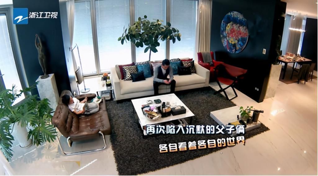 电梯|华谊总裁王中磊家,电梯入门,一进门就是金钱的“味道”