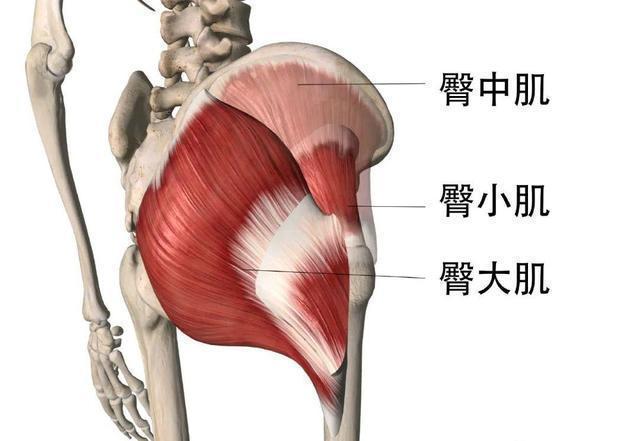 臀围|韩国美女健身教练，打造96cm臀围火爆网络，训练思路在这里！