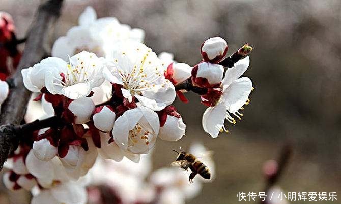 罗隐:唐朝混得最惨的诗人,10次科举都没中,他的诗却美如画卷