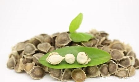 抽烟|肺部“清洁工”找到了,常抽烟的人多吃一些,清除肺毒更健康