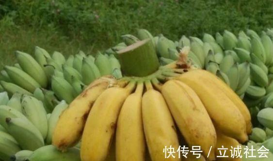 白菜|人到中年常吃几种食物，美容养生，延缓衰老，好吃又健康