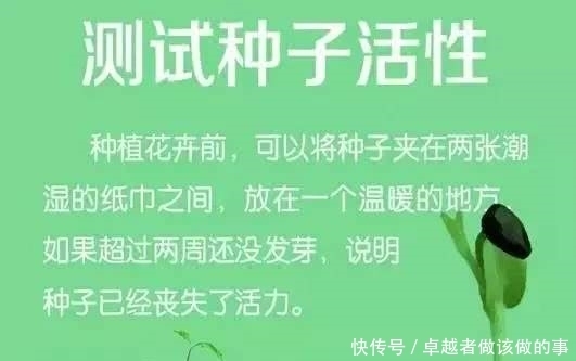 你绝对想不到纸巾还能这么用，看完都惊呆了！