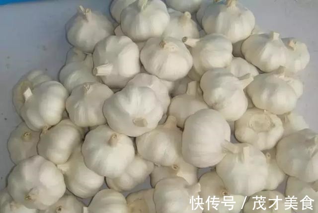 调味料用来养花,不黄叶,生根爆盆分分钟!