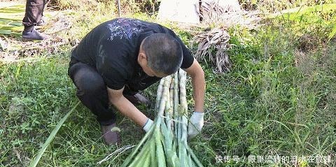  余杭人的心头好，即将上市！曾经风靡全国，很多人小时候都吃过！