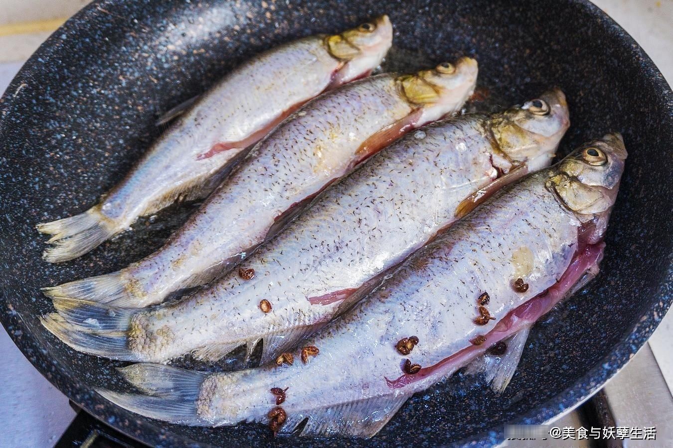 菜市场碰到这鱼，一次买5斤，10元一斤，比吃鲫鱼更营养更美味