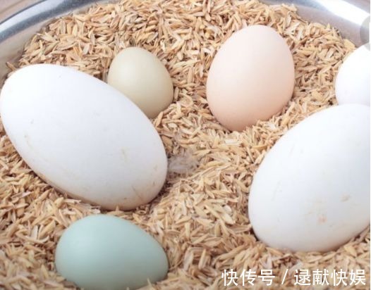 孕妈们|怀孕的时候,孕妈们不要错过的四种食物,会提高宝宝的颜值哦