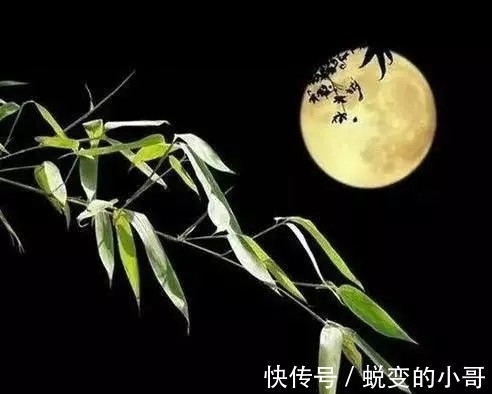 水力$雪化方懂云水力,春归自醉杨柳风