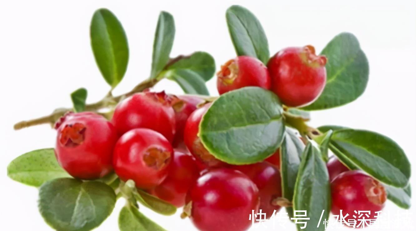 红润|女性不想满脸皱纹，可以坚持吃3种食物，皮肤红润，有益健康！