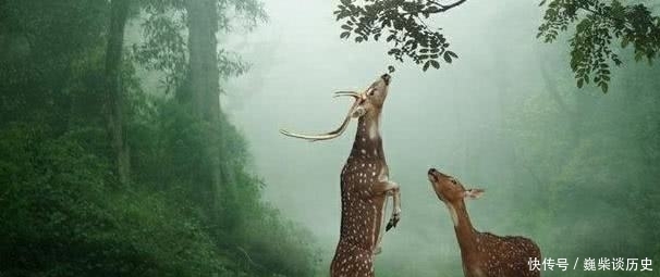 精足不思淫|俗语“精足不思淫,气足不思食,神足不思眠”古人生活真理知道吗