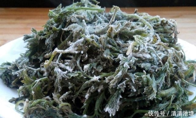 野草|农村一种不起眼的野草，以前总是被忽视，殊不知是很好的药材