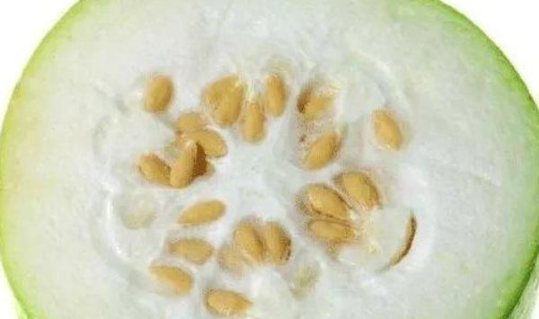 身体不适|冬瓜和4样一起吃,等于“慢性自杀”,大多人还傻傻的当补品