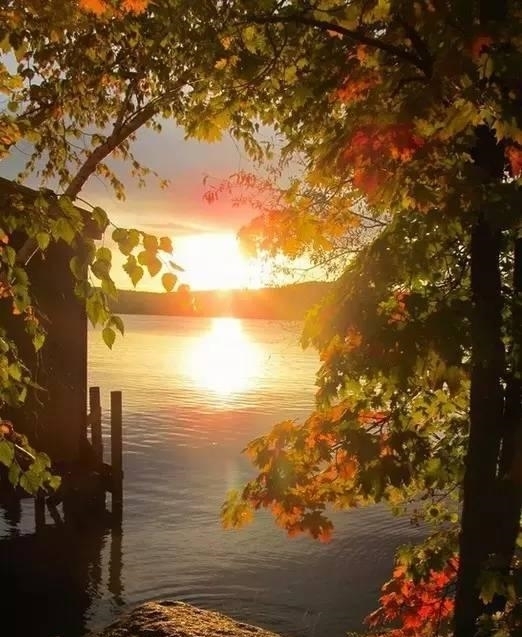 中老年人|50岁以后，不要自作多情