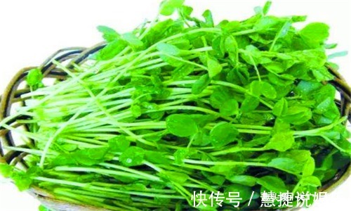 豌豆苗|人到中年,推荐吃3种食物,排毒护肝,清热明目,增强抵抗力