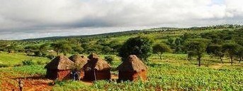 非洲#非洲挖出中国墓葬,当地人还自称中国人的后代,学者道出真相!