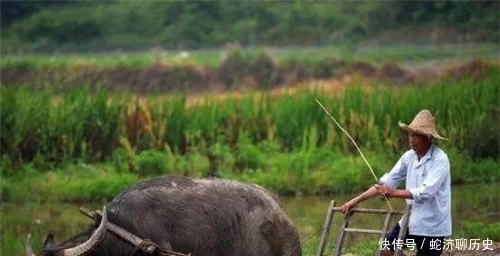 俗语“吃饭大汗,一生白干”,老祖宗留下的大智慧,果然句句在理