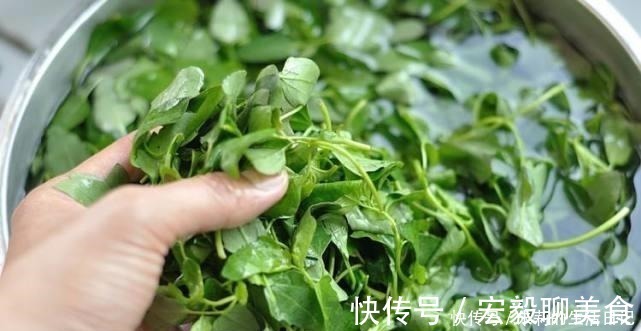 小馋猫|它是菜又是药，路边“补钙库”，钙是鸡肉的7倍，补钙质，长个头