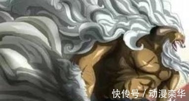 贝波|海贼王: 5只月亮狮子帅气, 佩德罗霸气, 加洛特高冷, 猫蝮蛇肥壮
