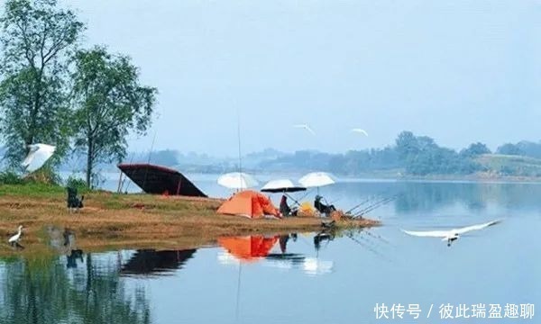 钓位|野钓选钓位,民间有“另类”经验,位置这样选,都是鱼扎堆的地方