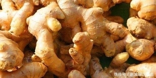 生姜|原来保存生姜这么简单,放半年不干瘪不发芽,再也不怕生姜买多了