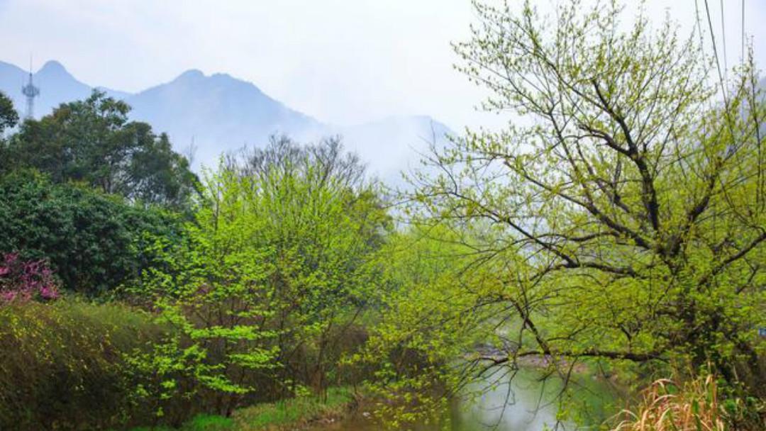 元好问|元好问一首高水平之作,每一句都另有所指,读来令人拍案叫绝