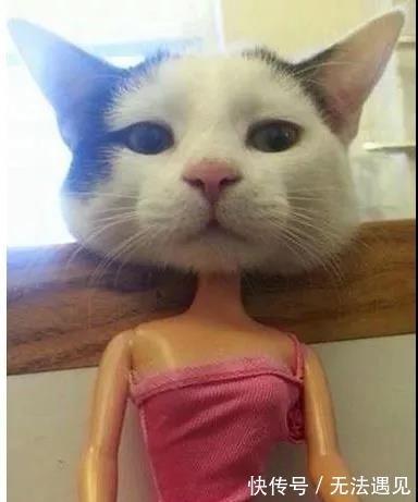 |搞笑gif段子：之所以没考上清华，一定是因为看书姿势不对