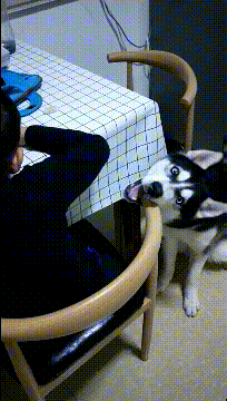 |搞笑GIF:这群人真的太会玩了,好想跟他们一起玩