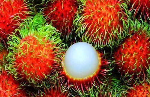 想長(zhǎng)壽得會(huì)吃，常吃以下3種食物，補(bǔ)鈣增智，明目養(yǎng)肝，有益健康