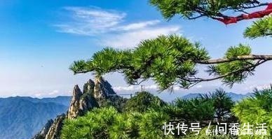 道理&杨万里的一首绝句,全篇无一生僻字,却阐述了为人处世的道理