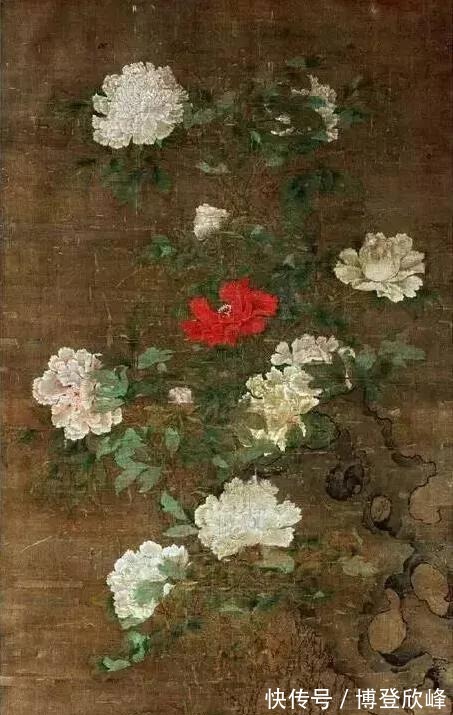 爱莲说|牡丹为什么被奉为“国花”,它有哪些与众不同的优势