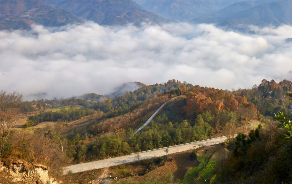 徐塘|平武有座山红透了！山上这条云端上的彩林公路秋色如画