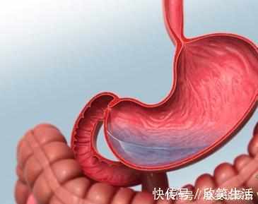 芡实|祛湿最厉害的不是薏米,而是它!连吃7天排光湿气,还能补肾益肾