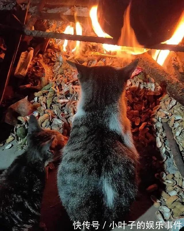 |听说想看低成本cos的漂亮小姐姐 冷段子1383 & 去年今日1073