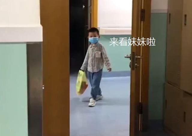 妹妹|年幼的哥哥看到二胎妹妹，小心翼翼不敢靠近，直呼：什么都给妹妹