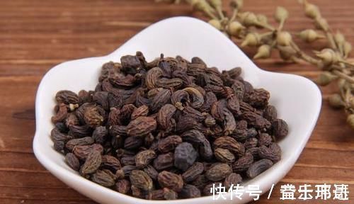 女贞子|默默带你认识一味中药——女贞子!食疗小方分享给大家,建议收藏