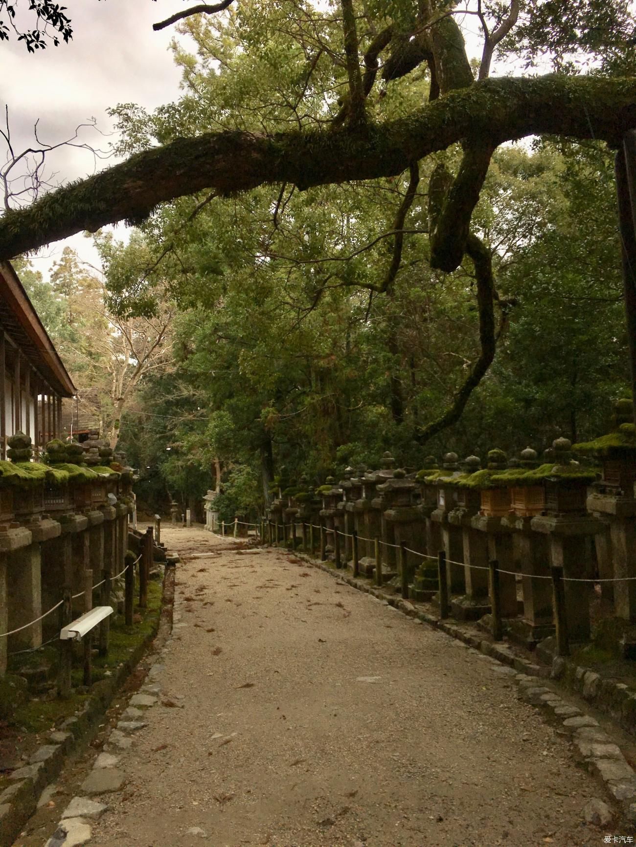 往日旅途时光系列之----初探东瀛