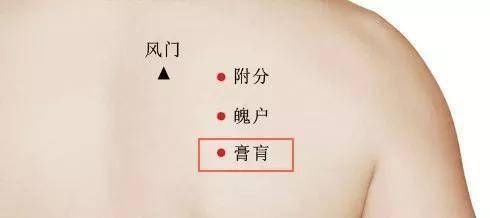 远离|此穴无所不治3个动作拉开它,大病小疾都远离