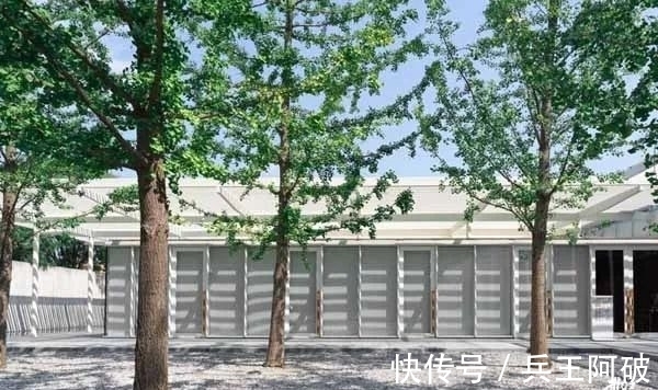 齐白石#普罗理想国：「世纪丹青——中国近现代名家作品展」启幕