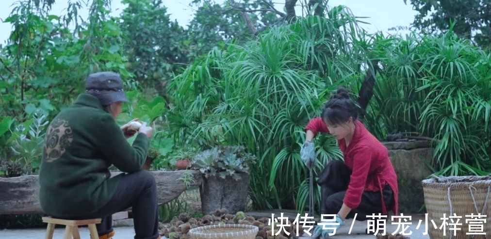 毛豆|李子柒晒秋收家宴,吸引三千万人观看,满满一桌子的美味,太馋人
