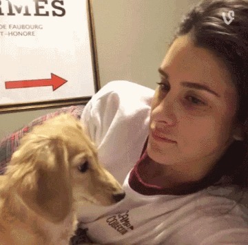 |搞笑GIF段子:军训中遇到的妹子,我是不是该提前出手了?