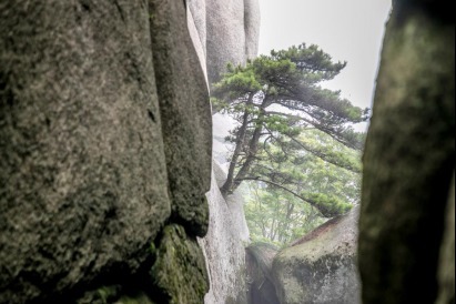 全球世界地质公园博览之天柱山