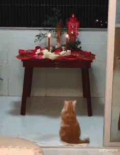 海波|喬杉洗腳城被抓了,會像海波一樣退出演藝圈嗎?哈哈哈哈哈哈哈...