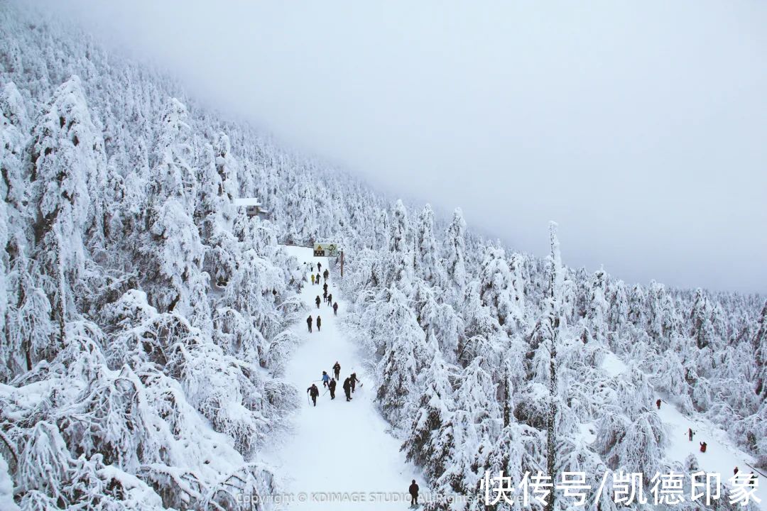 江原道|滑雪、温泉、狂欢节……我要和你交换6个关于冬天的美好回忆