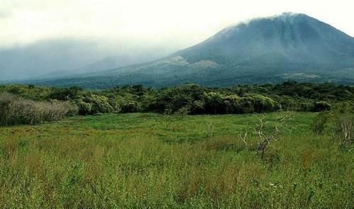 eco 人类为了拯救受伤地球所进行的13个项目