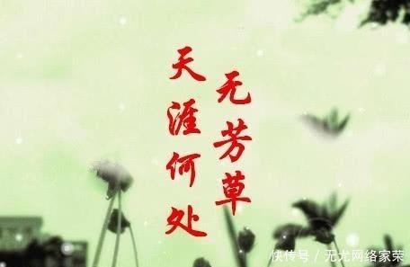 一枝花!“天涯何处无芳草”后一句,并非“何必单恋一枝花”,而是这句话