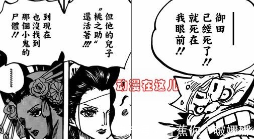 大蛇将军|海贼王小紫身份明朗,因桃之助的名字严肃,还是不屈的武士之女!