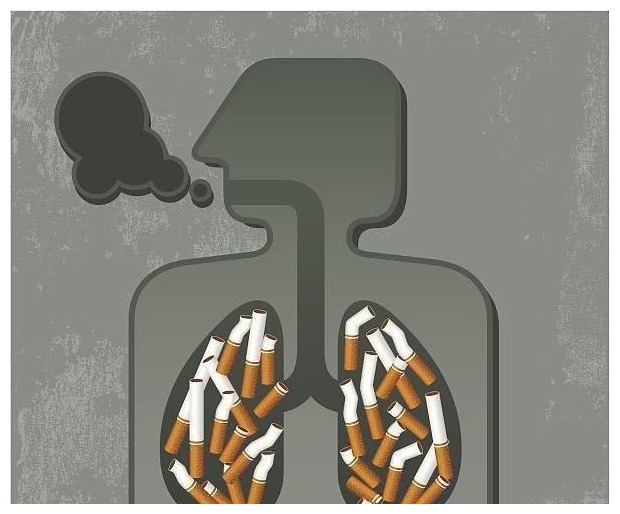 菊苣|五十岁后,若能熬过这3道寿命坎,很可能会迎来长寿!