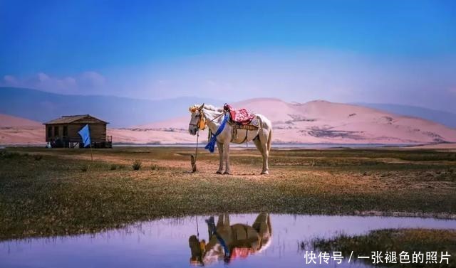 山中|席慕蓉|我曾踏月而来,只因你在山中